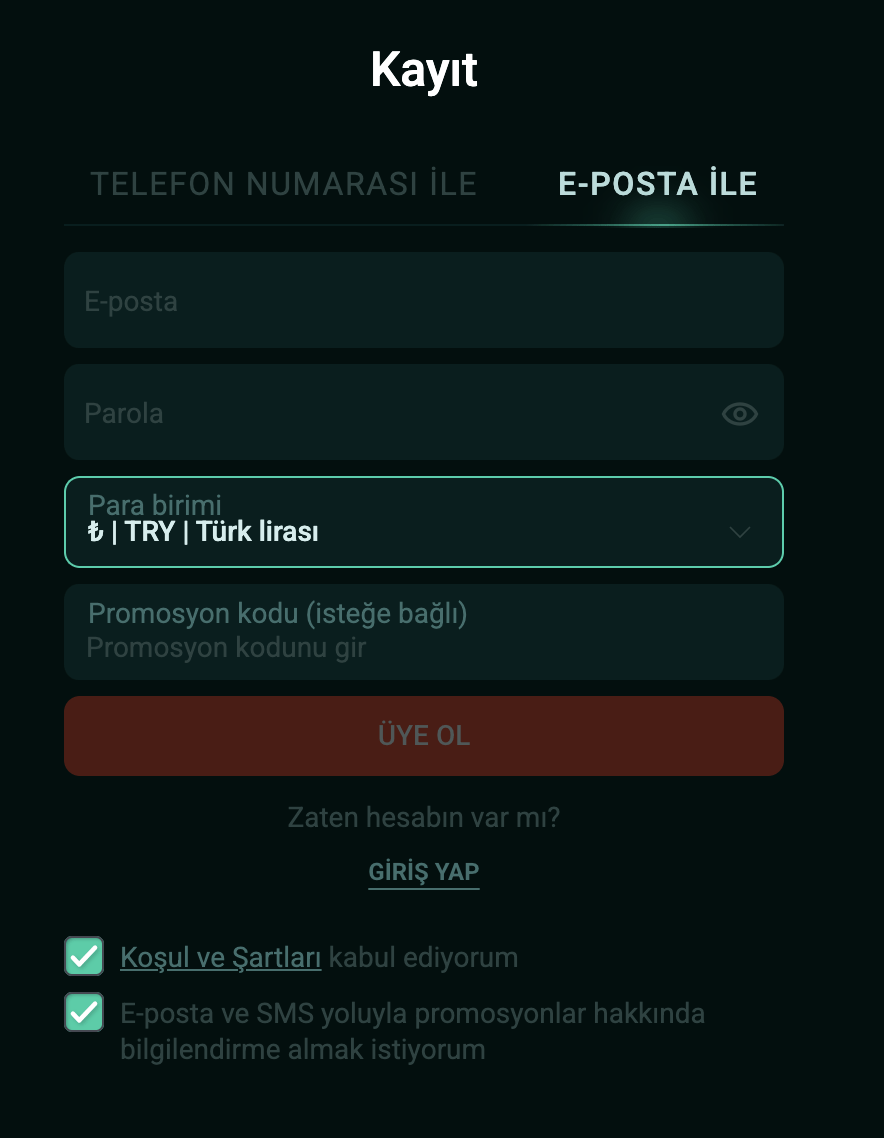 Pin Up Casino Kayıt Önizleme #1